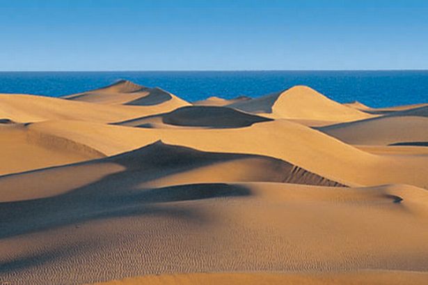 sand-dunes-of-maspalomas-139299546-1